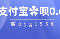 海科直营pro上线支付宝，费率0.6%，单笔5w超级丝滑